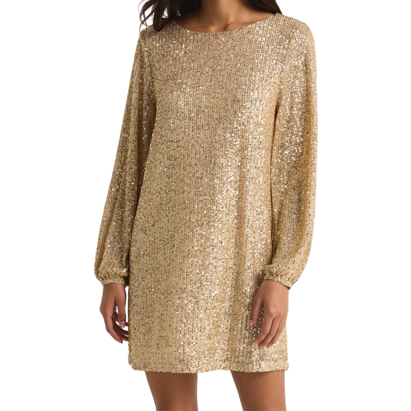 Andromeda Sequin Dress - BH&Co