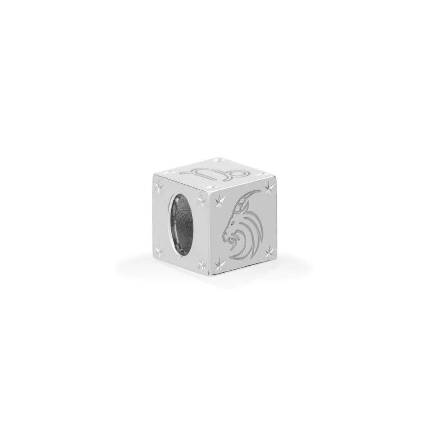 Zodiac Block Big Bead Capricorn - BH&Co